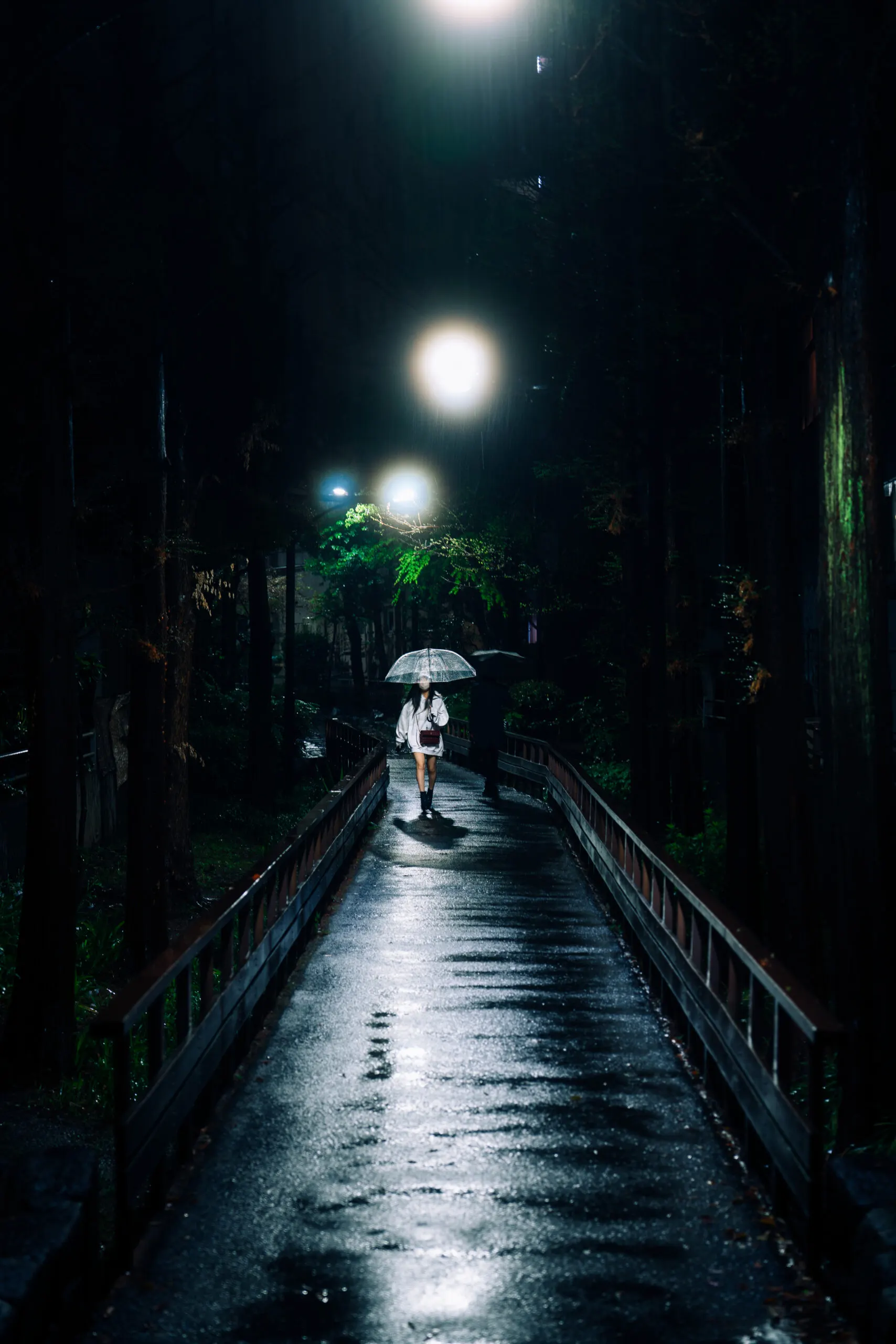 Lone person with umbrella on a lit path at night